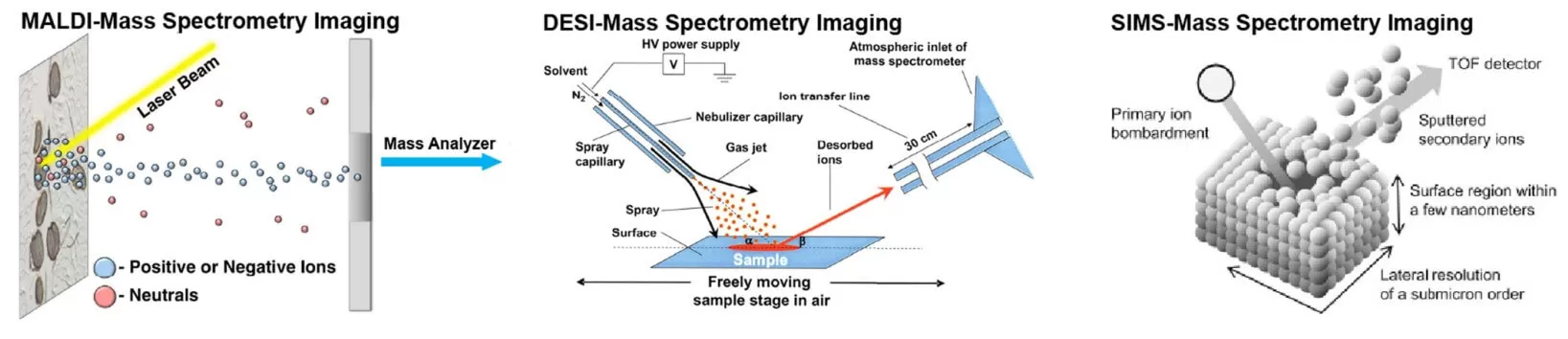 Figure 2. Schematic illustrations of the ionization steps in MALDI, DESI, and SIMS MSI experiments (Ma and Fernández, 2022)